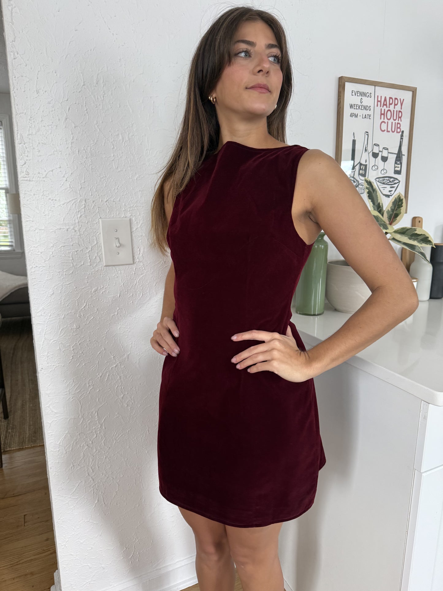 Sofie the Label Kiara Velvet High Neck Mini Dress (Burgundy)