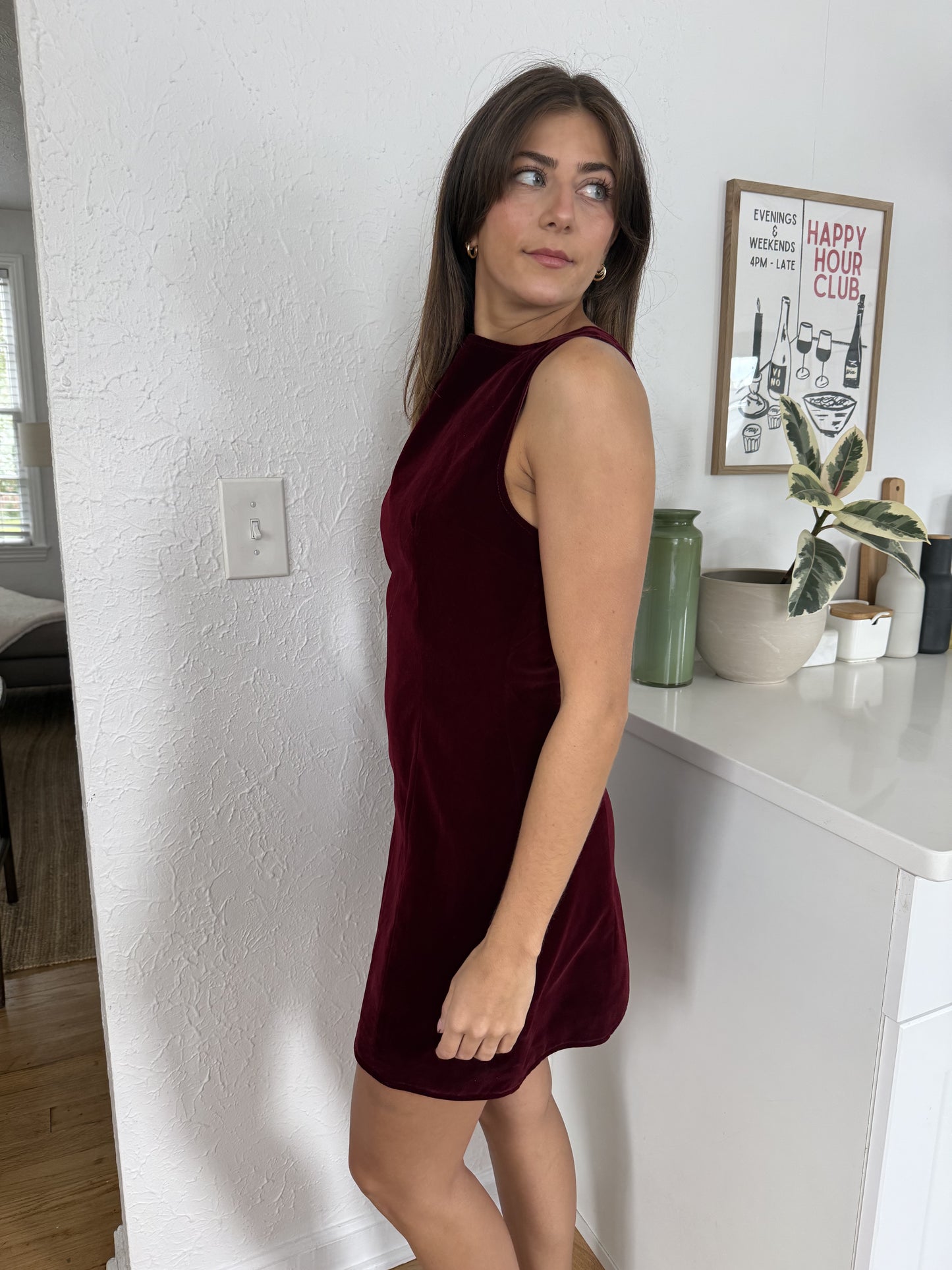 Sofie the Label Kiara Velvet High Neck Mini Dress (Burgundy)