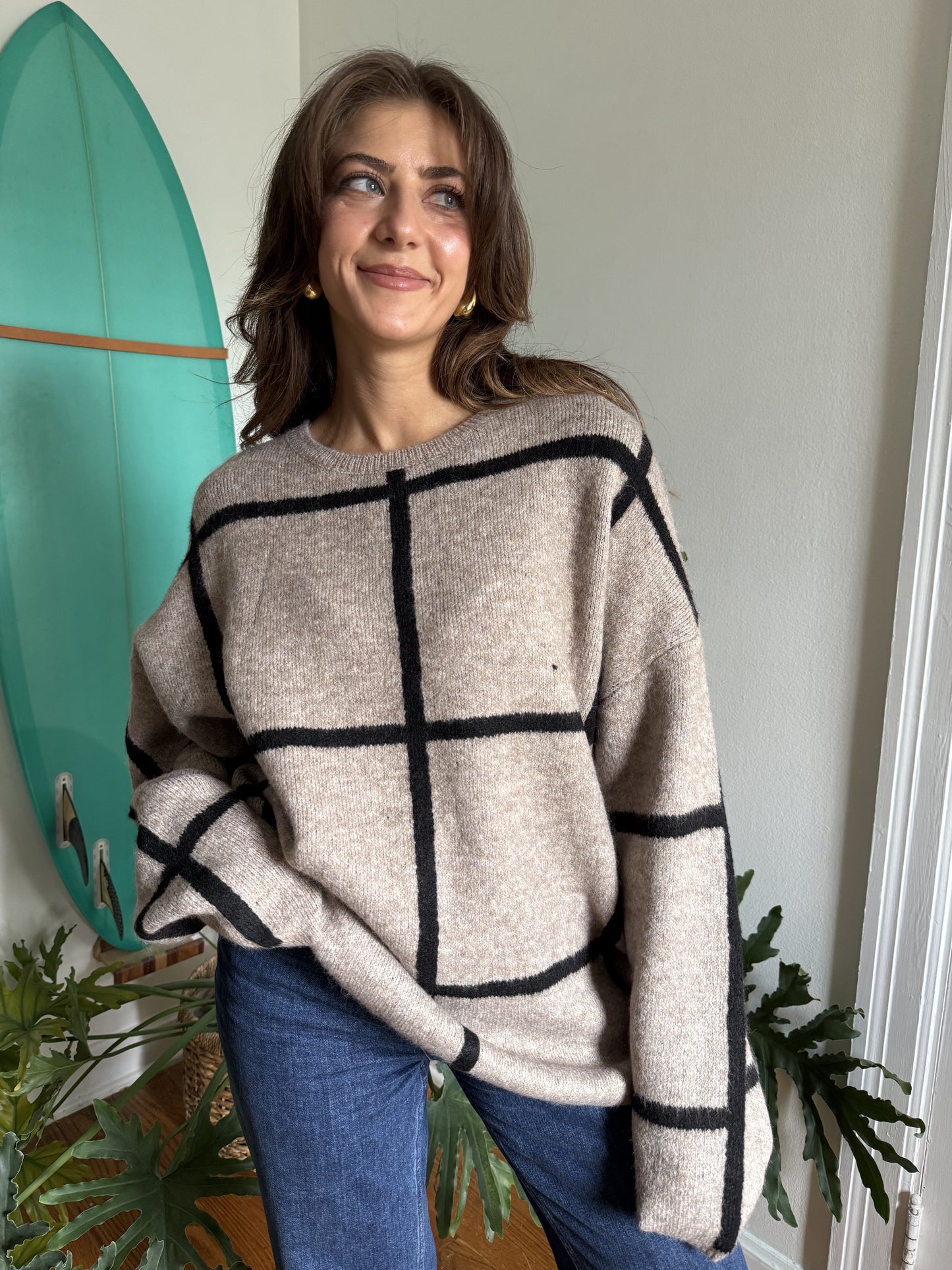 Lilah Taupe Grid Patterned Knit Pullover Sweater (S)