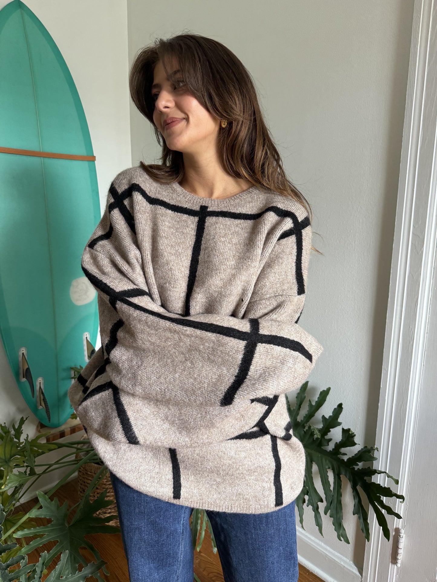 Lilah Taupe Grid Patterned Knit Pullover Sweater (S)