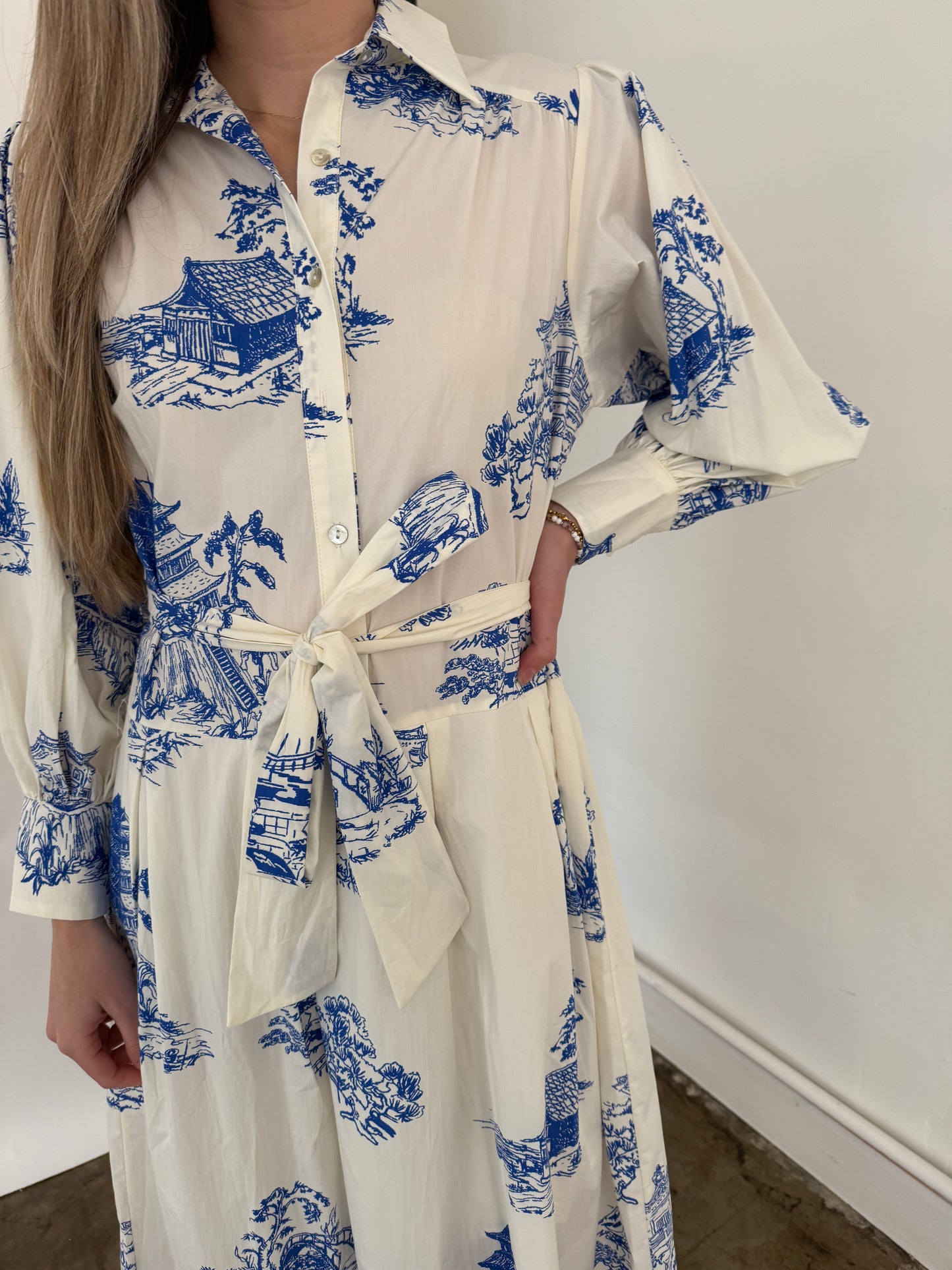 PINCH Taylor Blue Toile Print Collared Midi Dress
