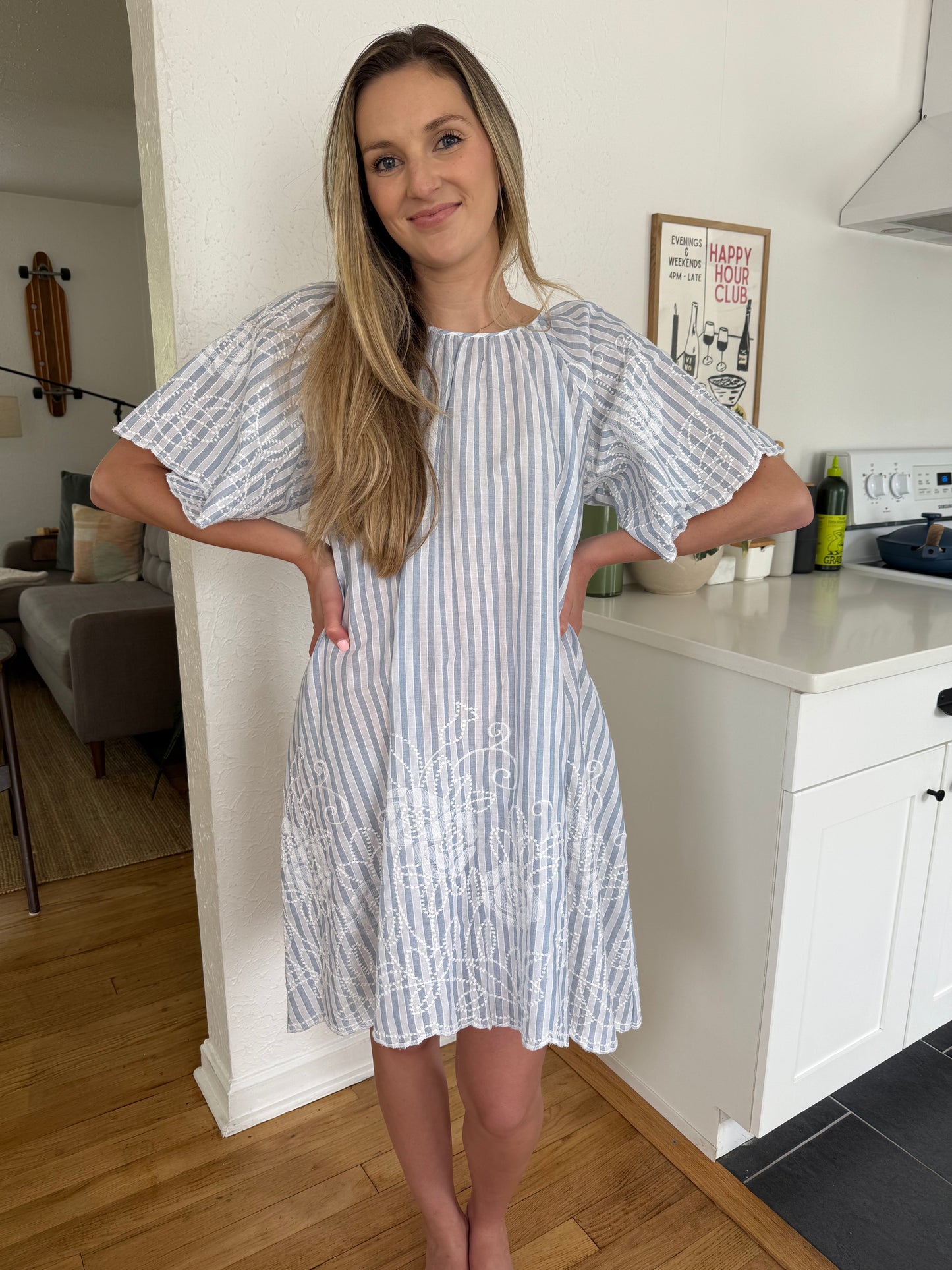 FRNCH Celma Blue Stripe Floral Embroidered Mini Dress
