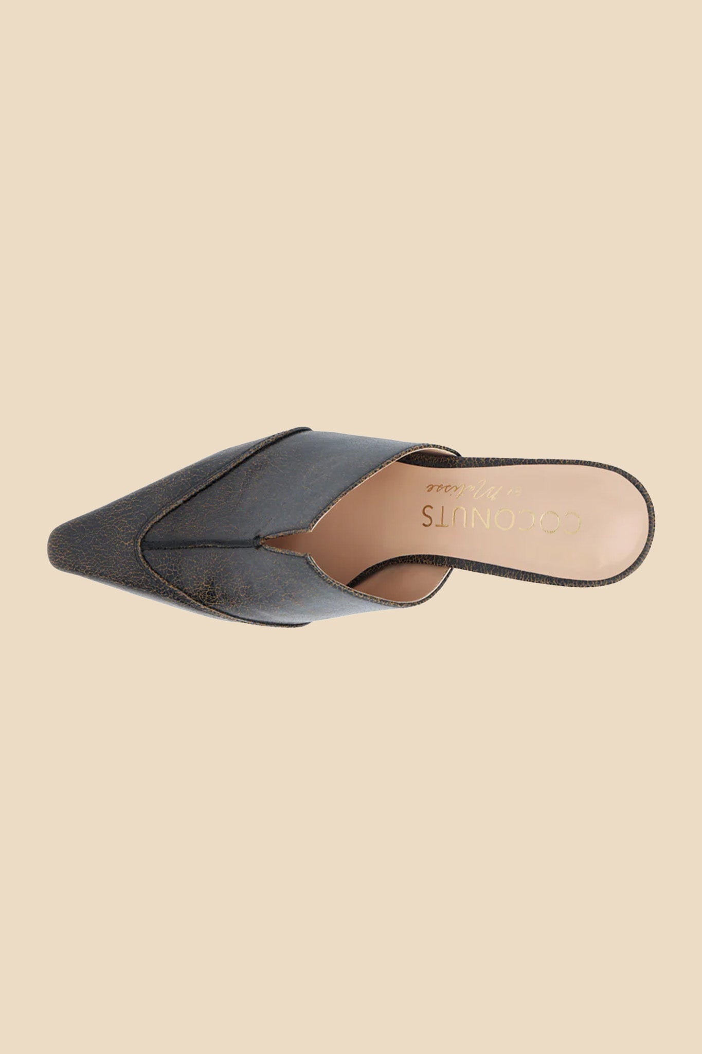 Coconuts by Matisse Crawford Pointed Toe Mules (Black)