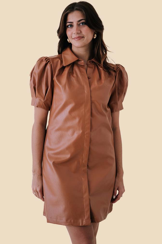 Aureum Tessa Vegan Leather Collared Mini Dress (XS & M)