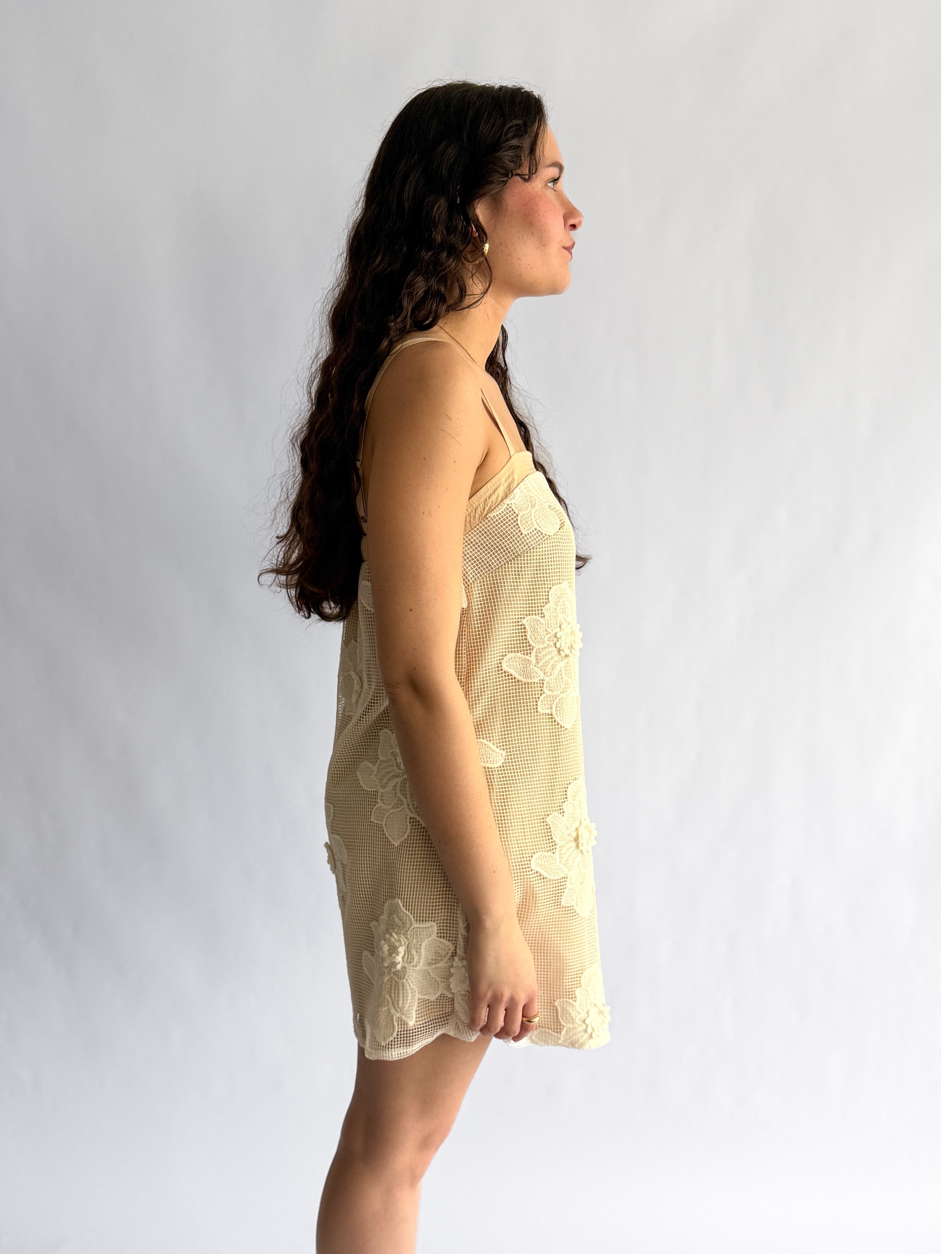 Laura Beige Floral Mesh Texture Sleeveless Mini Dress