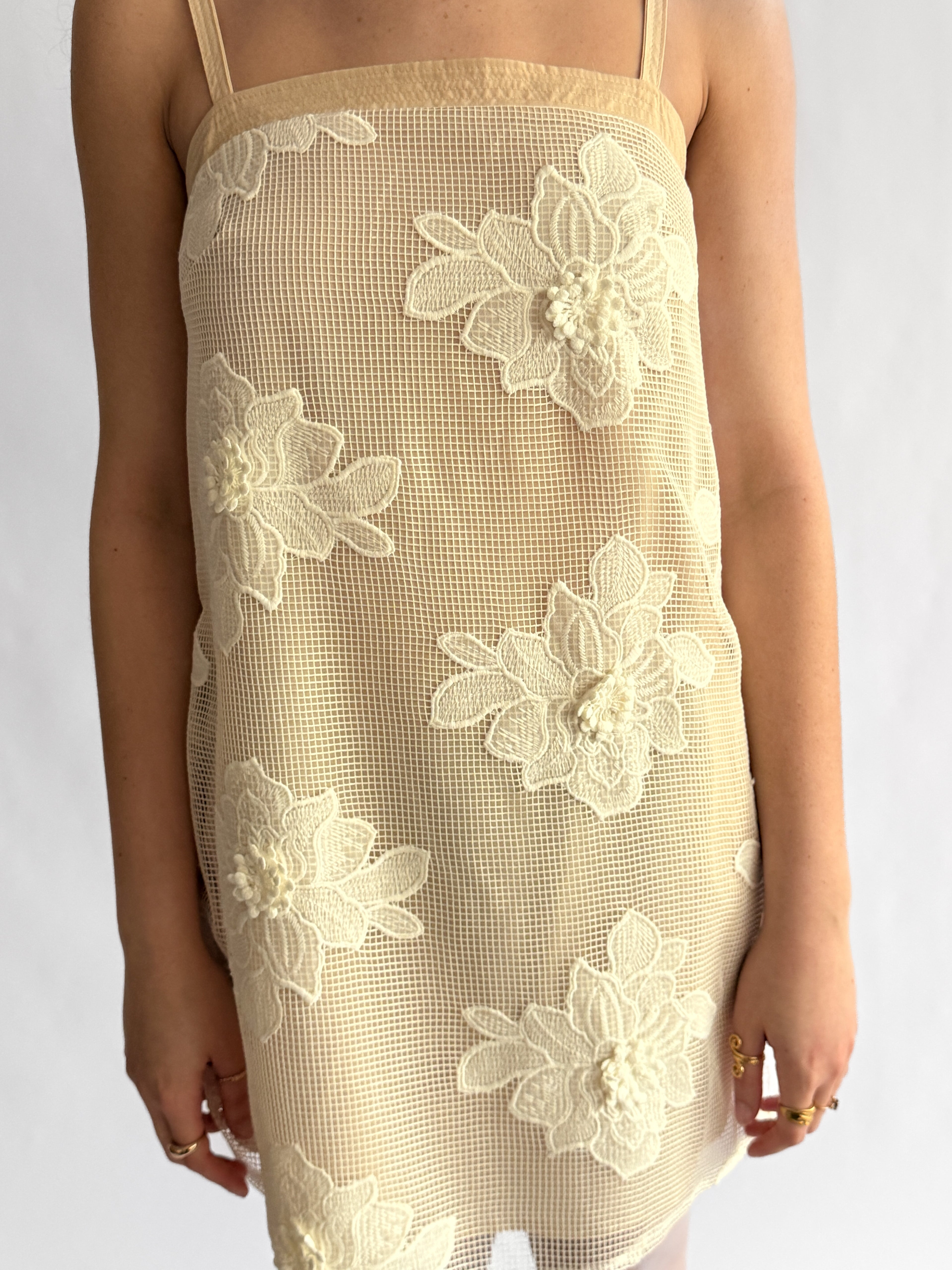 Laura Beige Floral Mesh Texture Sleeveless Mini Dress