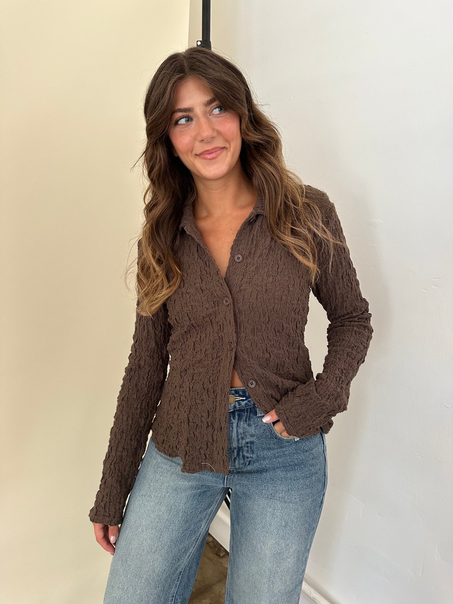 Francis Crinkle Collared Long Sleeve Top (Brown)