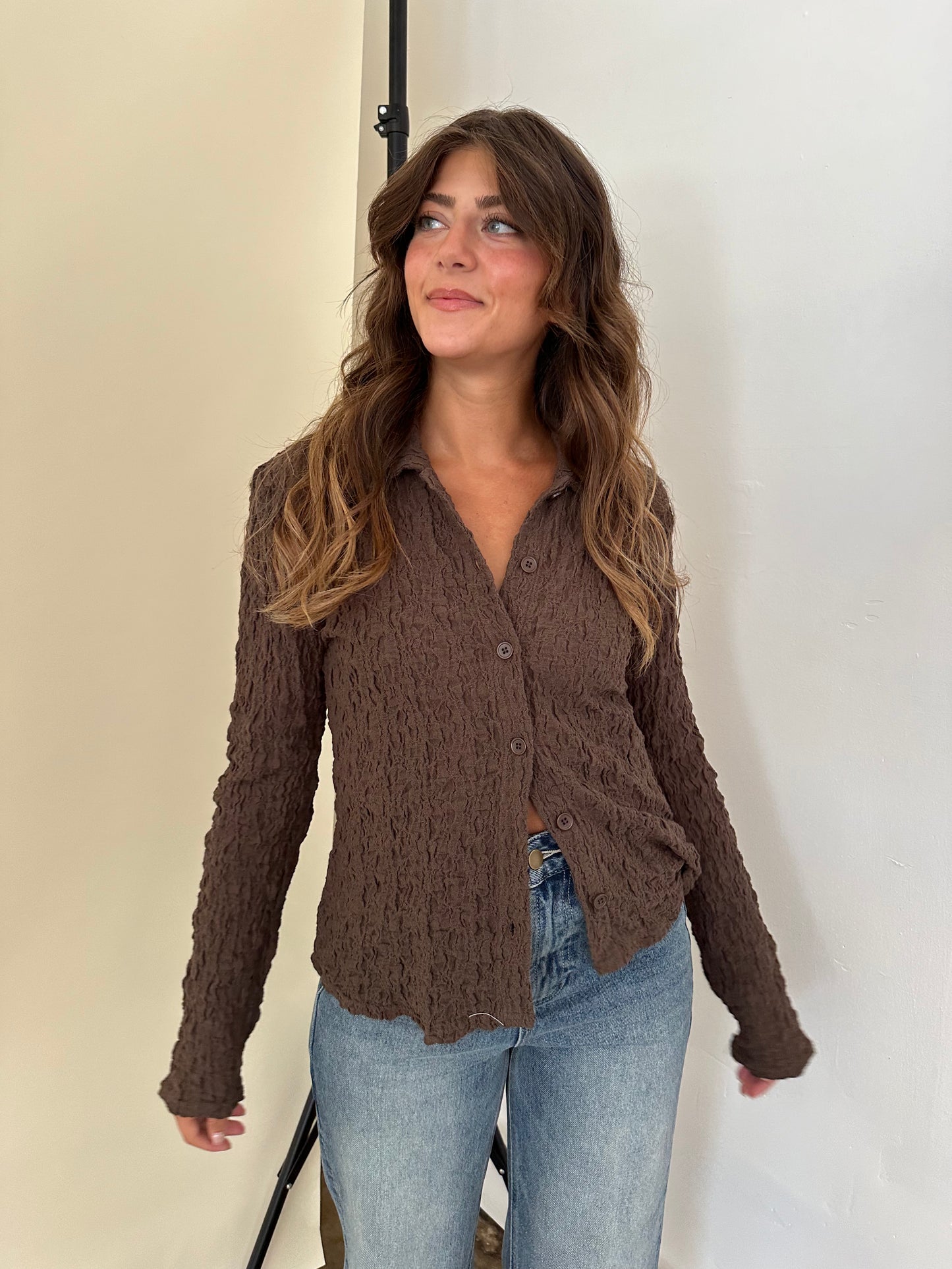 Francis Crinkle Collared Long Sleeve Top (Brown)