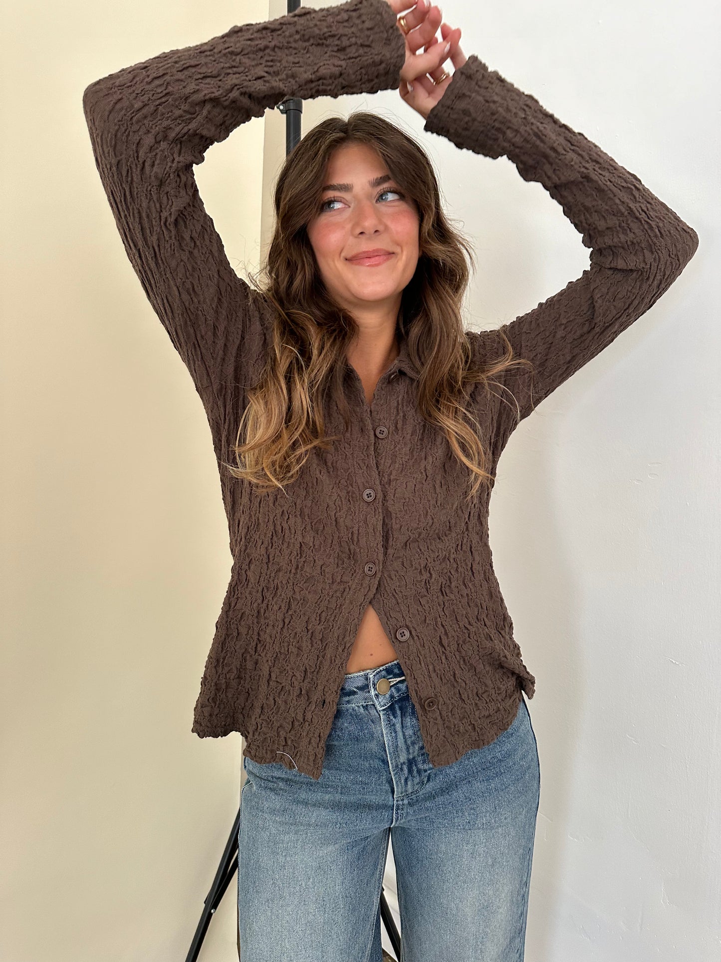 Francis Crinkle Collared Long Sleeve Top (Brown)