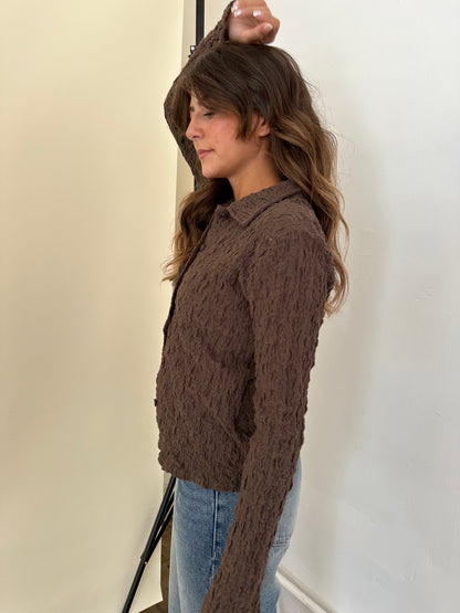 Francis Crinkle Collared Long Sleeve Top (Brown)