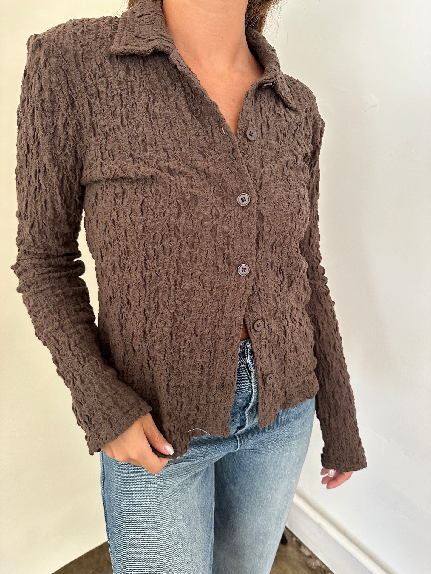Francis Crinkle Collared Long Sleeve Top (Brown)