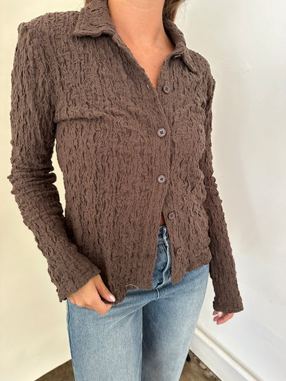 Francis Crinkle Collared Long Sleeve Top (Brown)