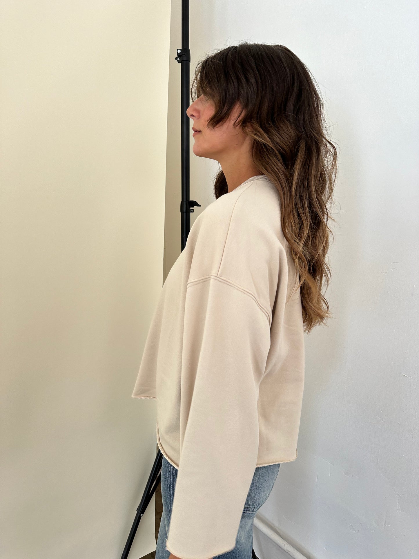 Flynn Beige Soft Casual Sweatshirt Top