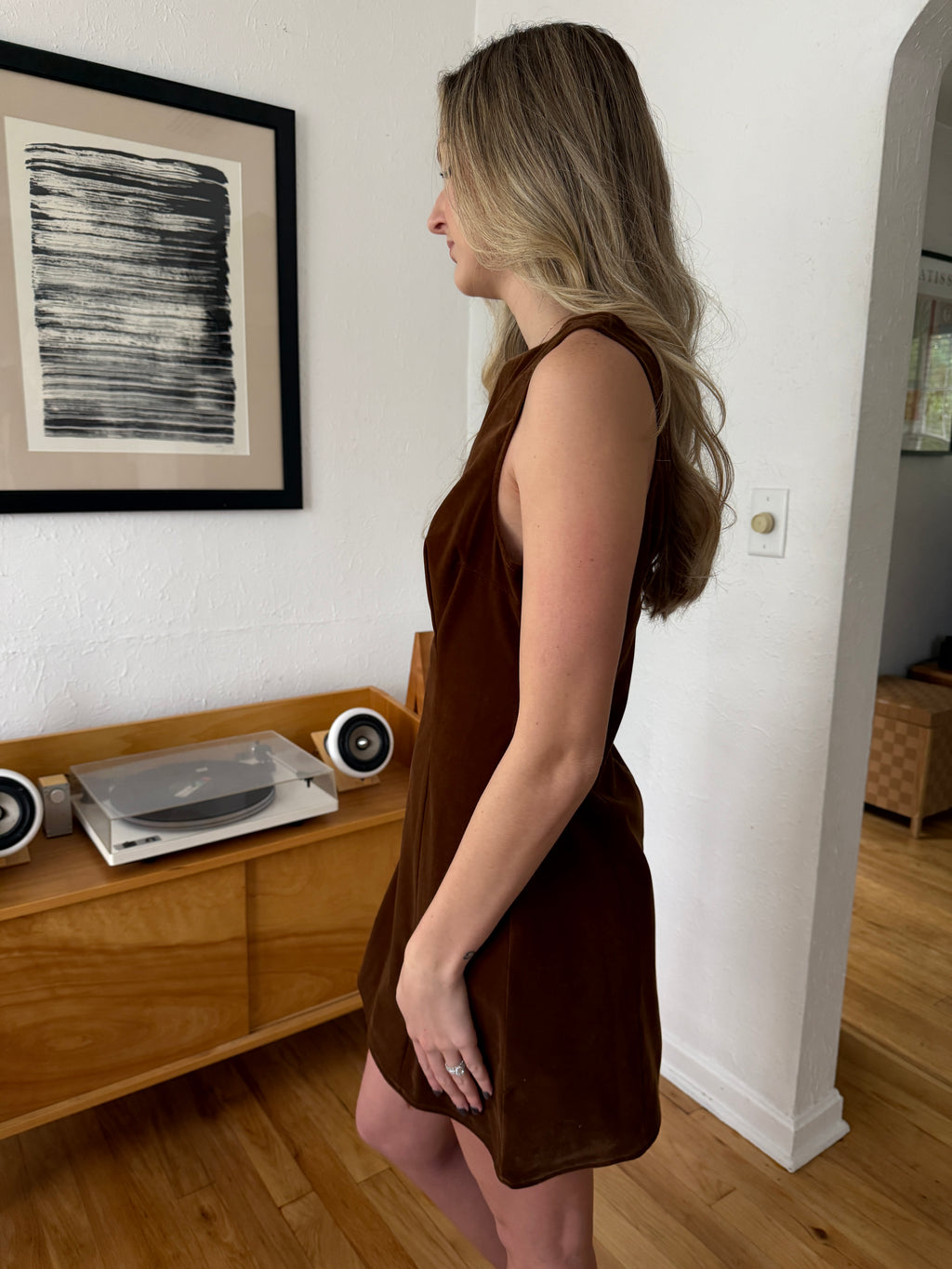 Sofie the Label Kiara Velvet High Neck Mini Dress (Brown)