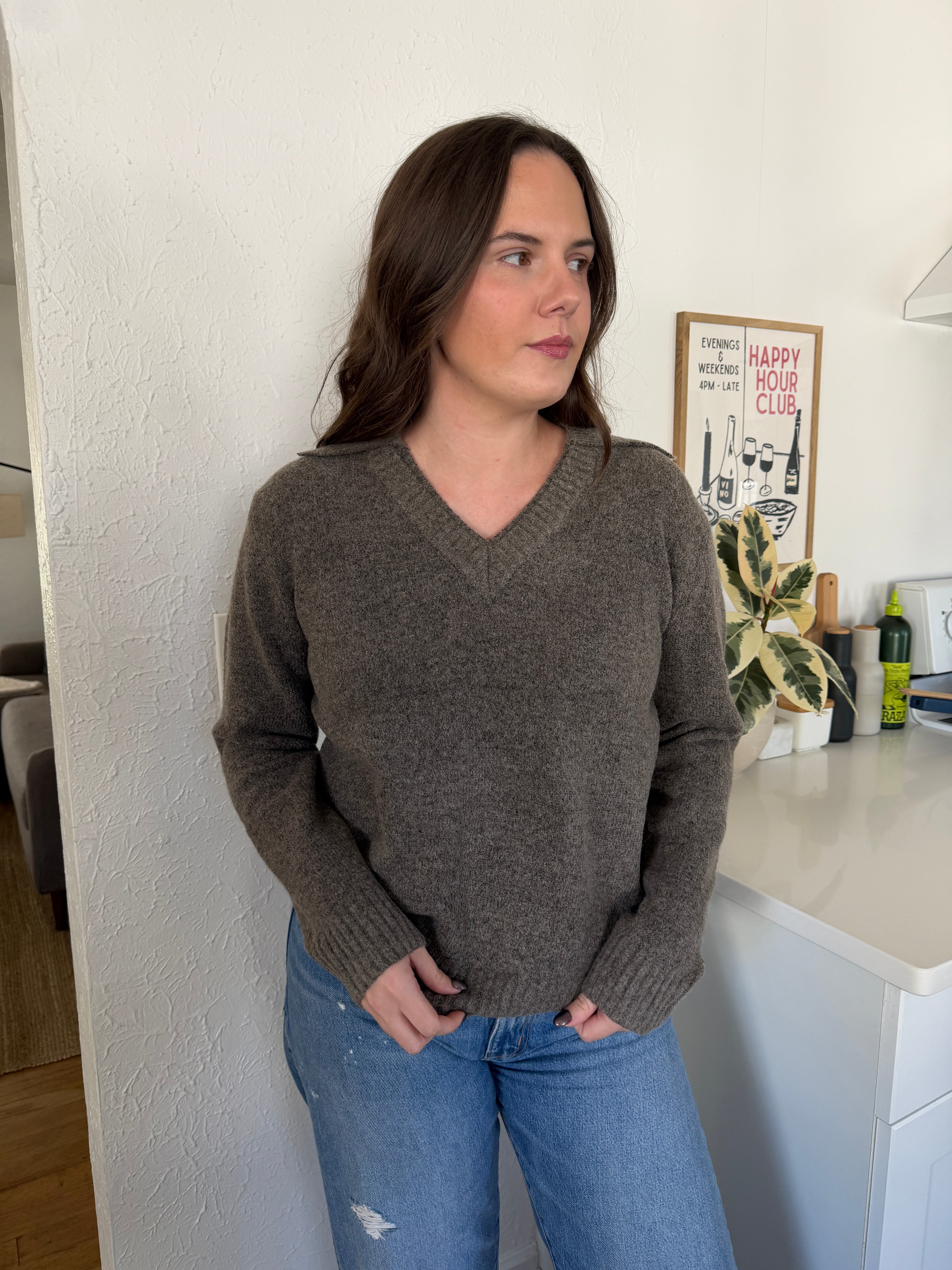 PINCH Aubrey Taupe Collared Sweater Long Sleeve Top