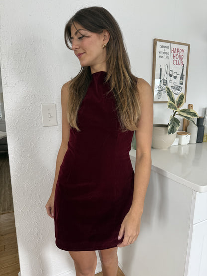 Sofie the Label Kiara Velvet High Neck Mini Dress (Burgundy)