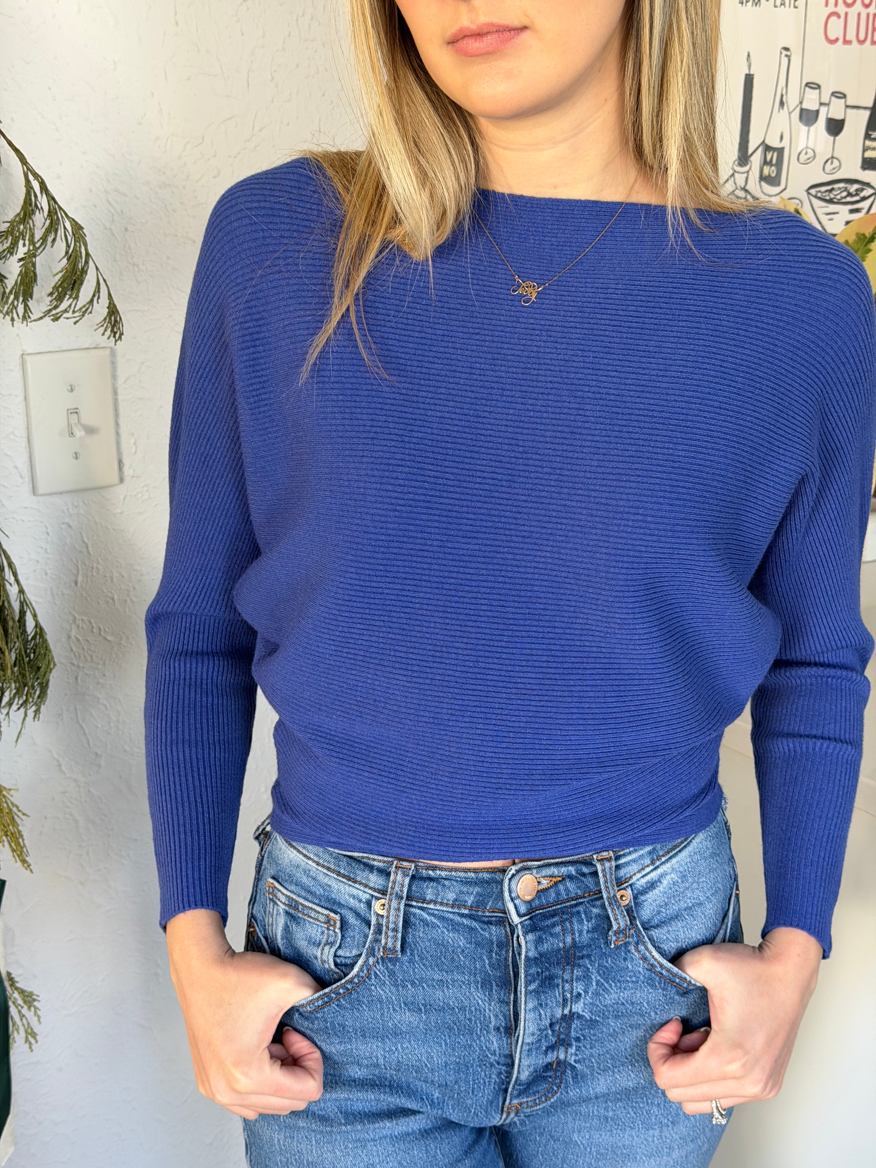 PINCH Alyssa Blue Rib Fitted Long Sleeve Top