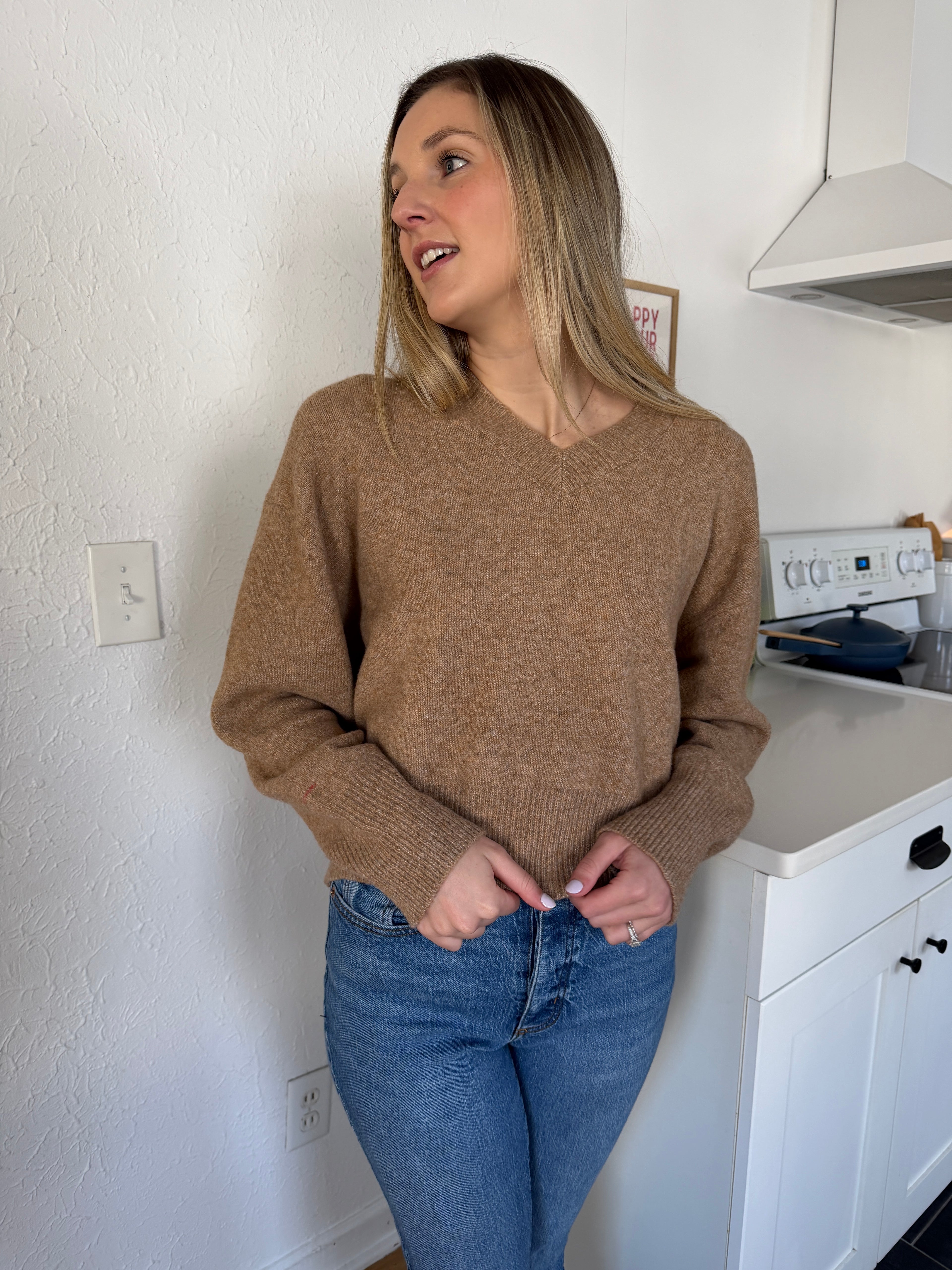 Things Between Emery Knit V-Neck Relaxed Sweater (Beige)