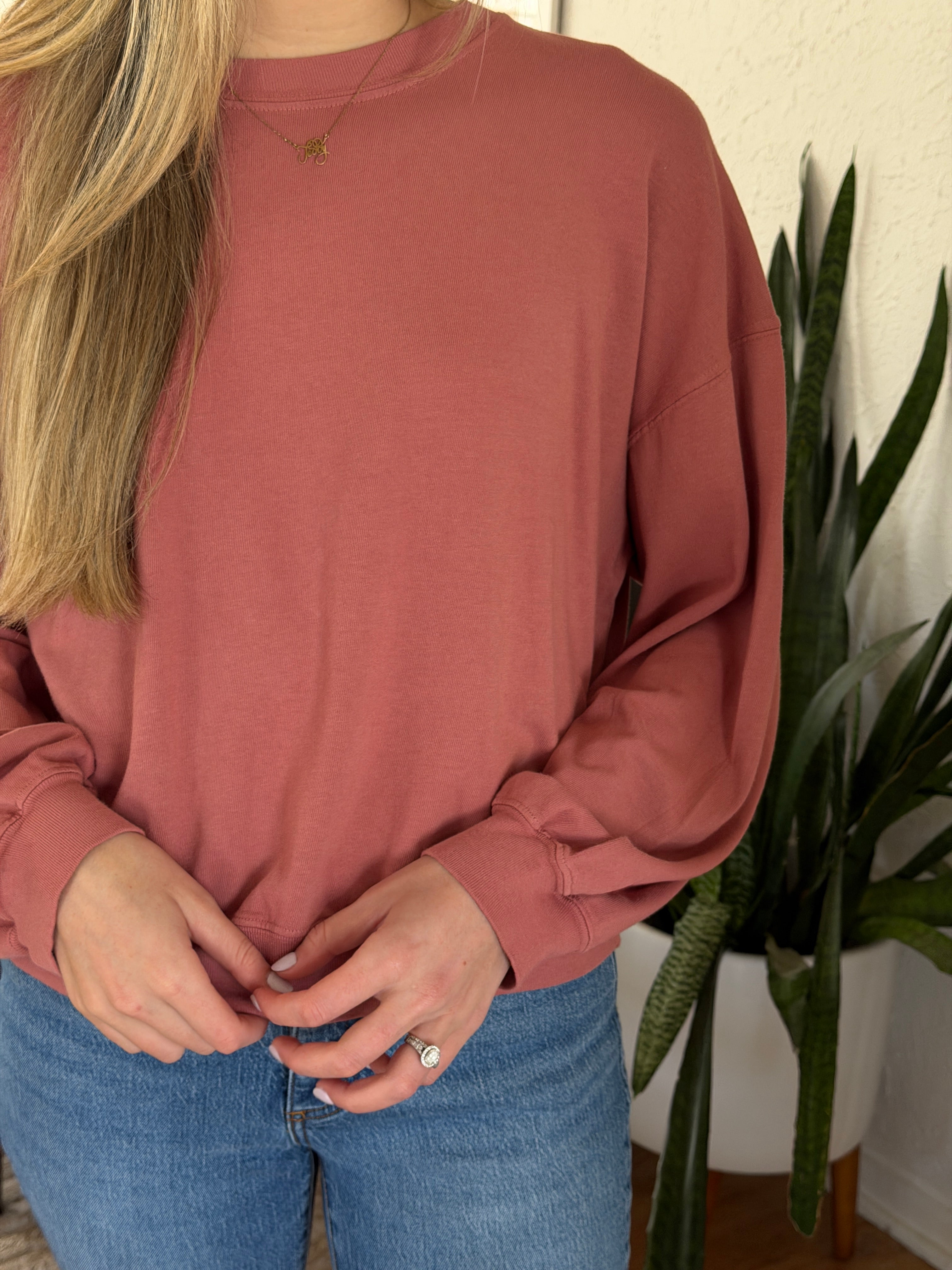 Le Bon Shoppe Cali Jersey Sweatshirt (Clay)