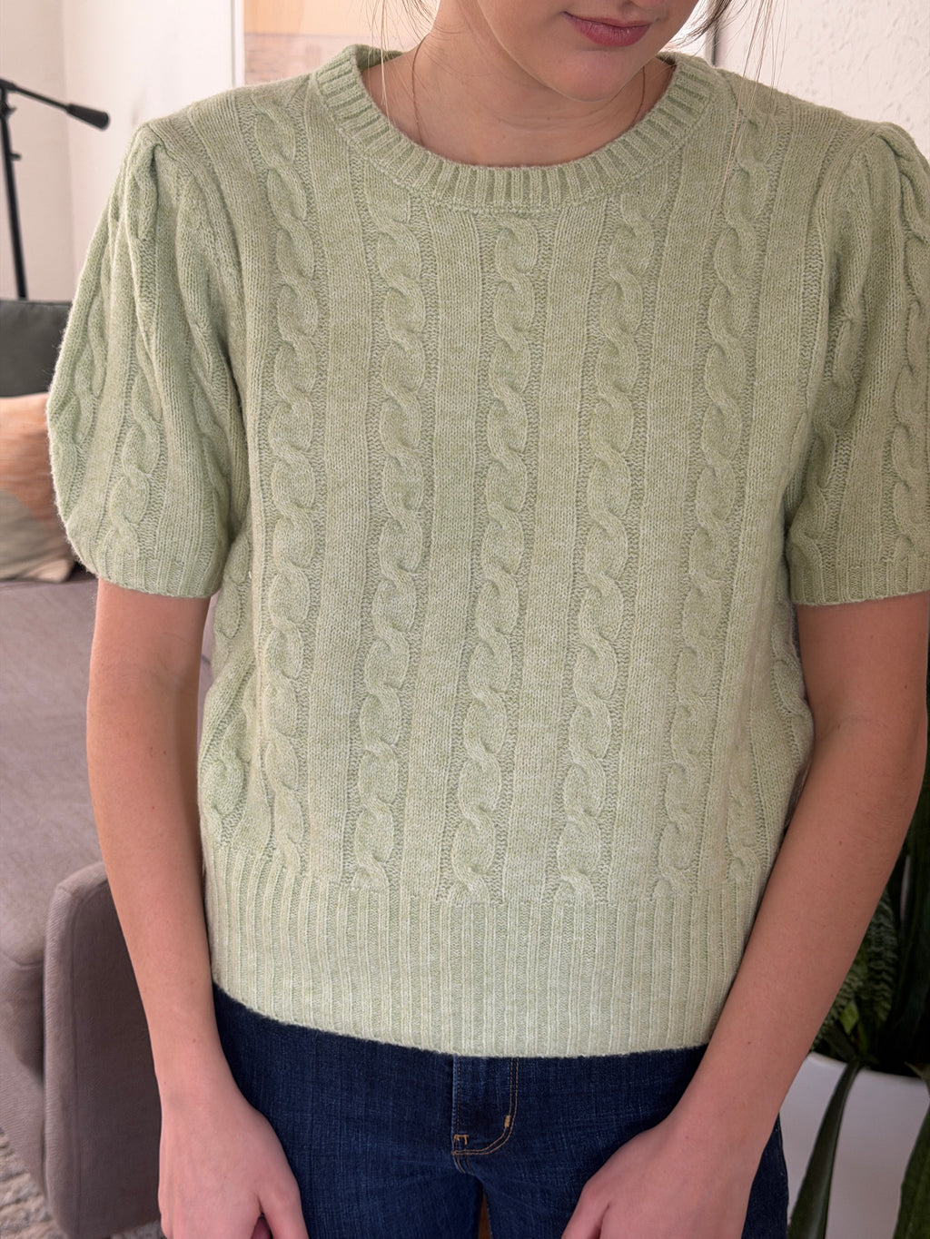 PINCH Freya Cable Knit Short Sleeve Sweater (Sage)
