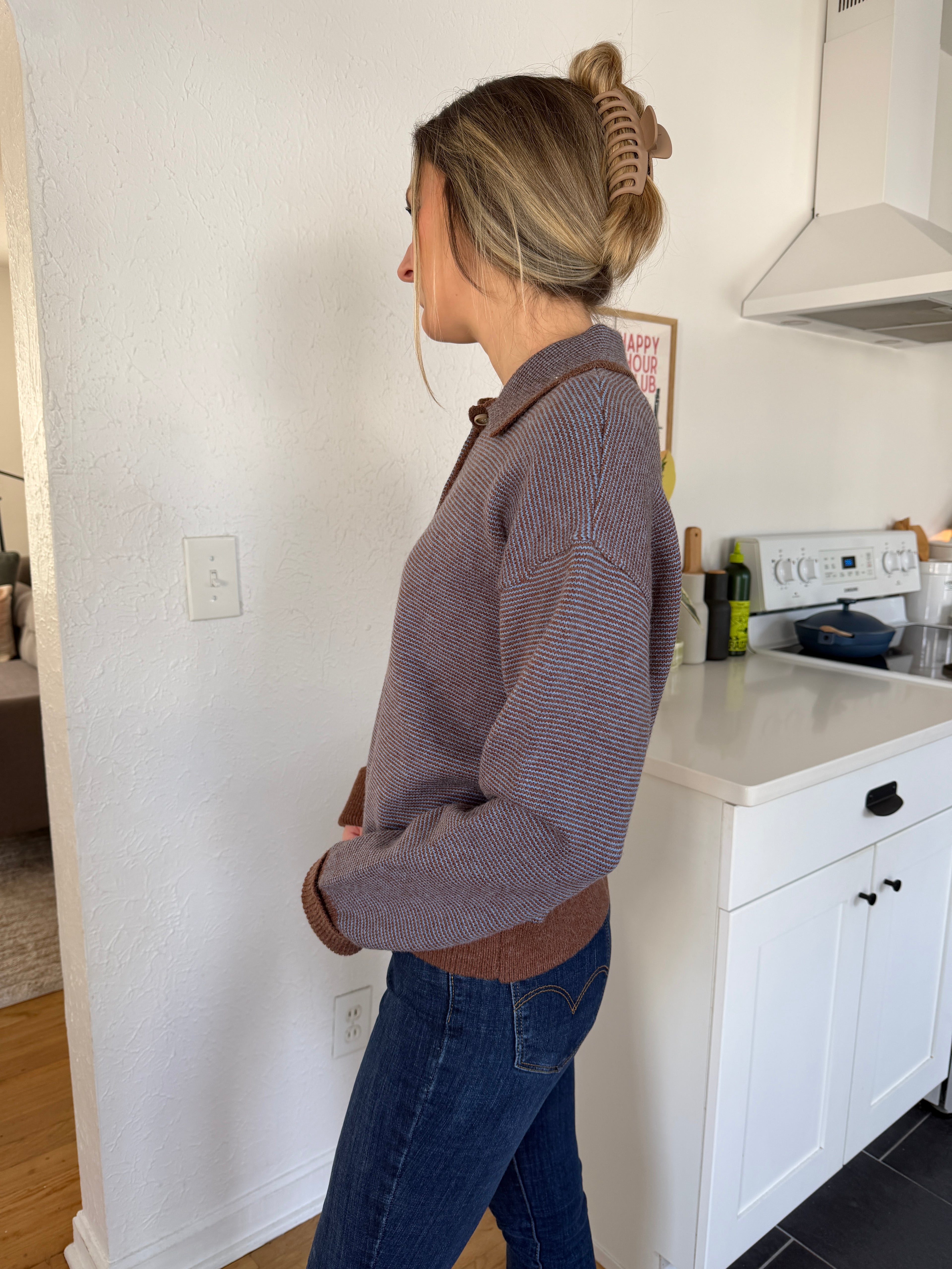 Grady Blue and Brown Striped Knit Collared Polo Top