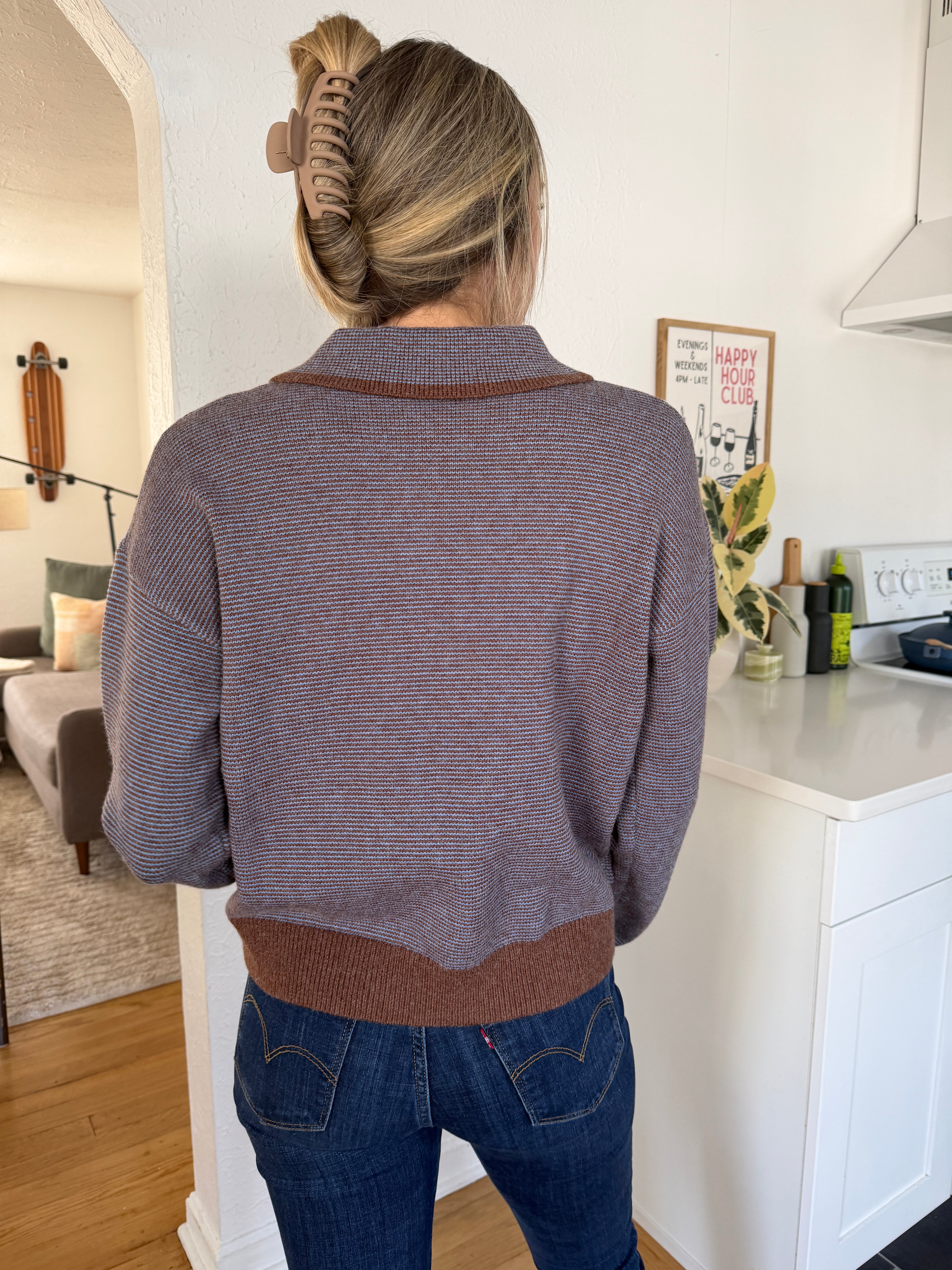 Grady Blue and Brown Striped Knit Collared Polo Top