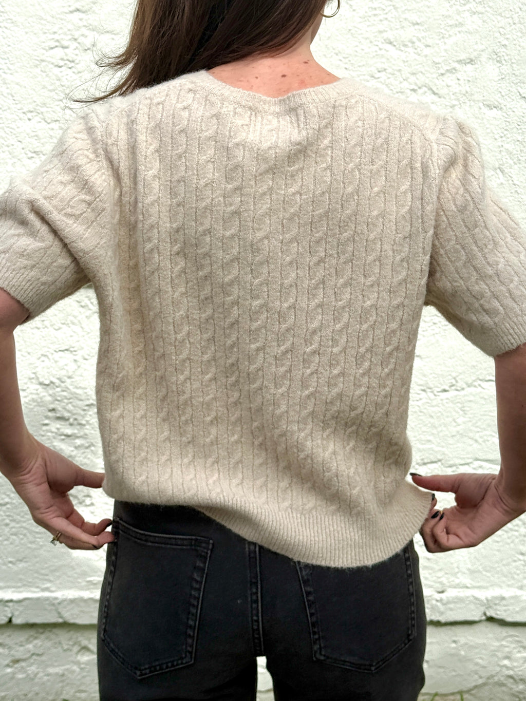 Things Between Paisley Cable Knit Short Sleeve Top (Beige)