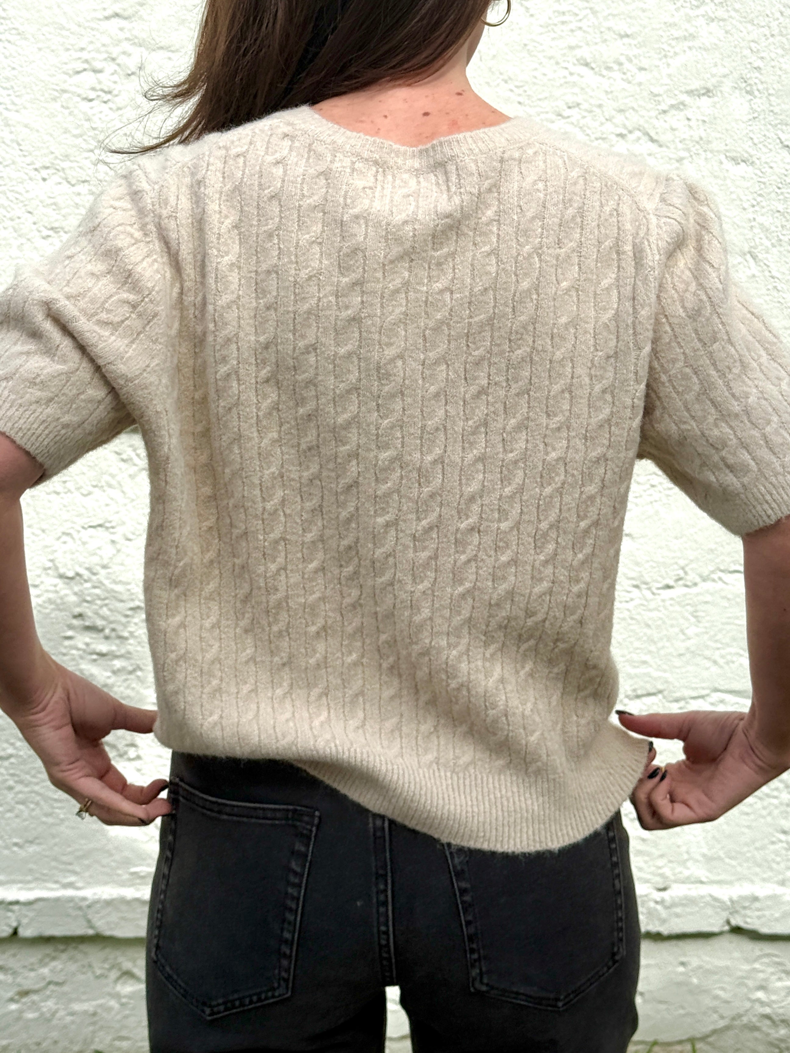 Things Between Paisley Cable Knit Short Sleeve Top (Beige)