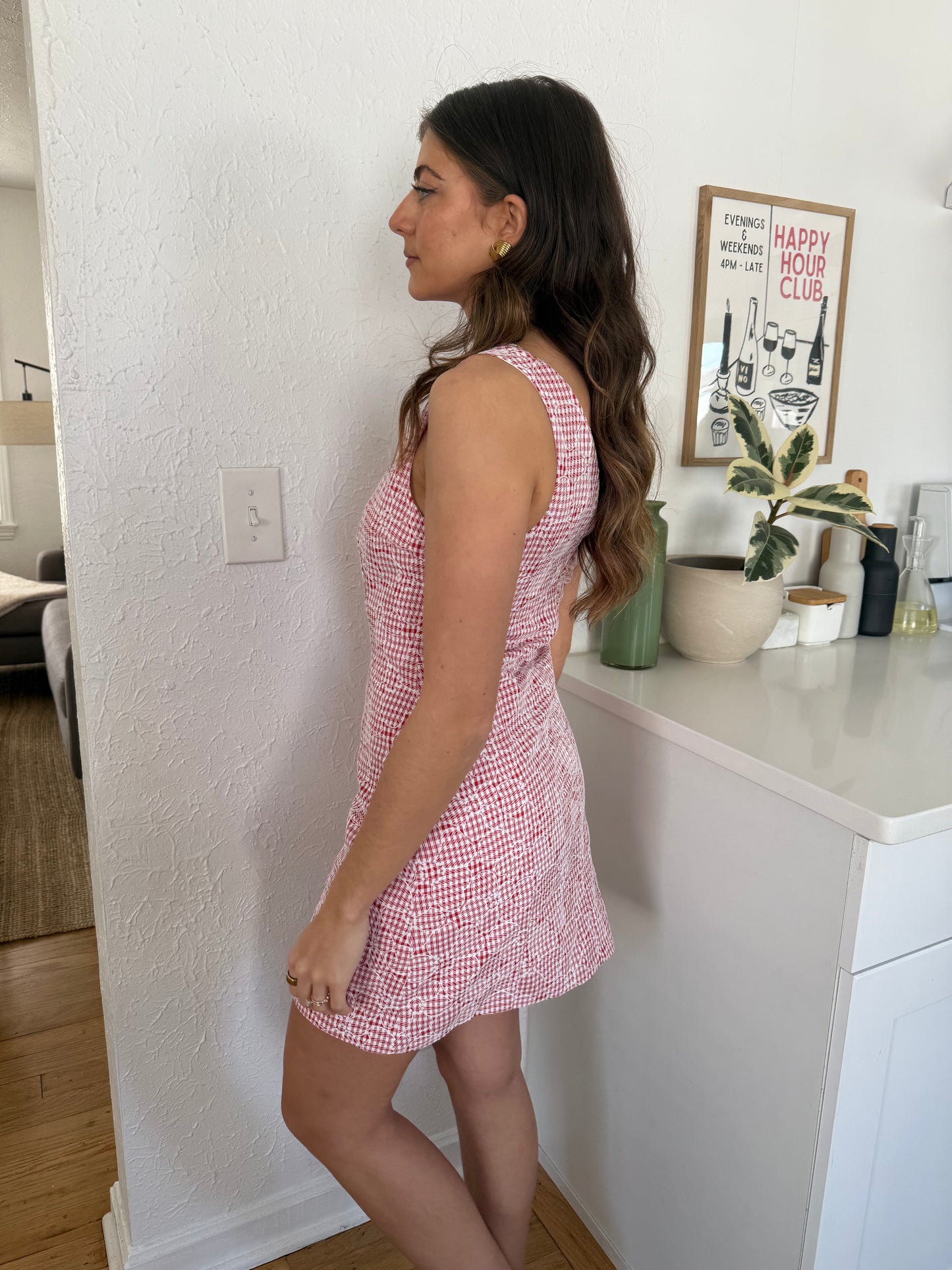Sofie the Label Vivian Red Gingham Embroidered Mini Dress