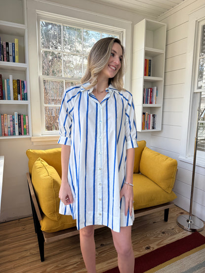 PINCH Whitney Blue Striped Button Mini Dress