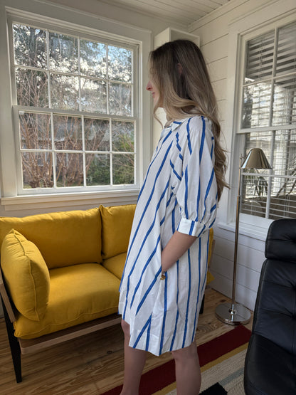 PINCH Whitney Blue Striped Button Mini Dress