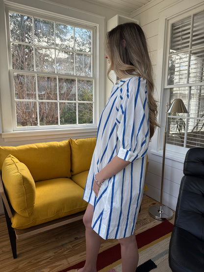 PINCH Whitney Blue Striped Button Mini Dress