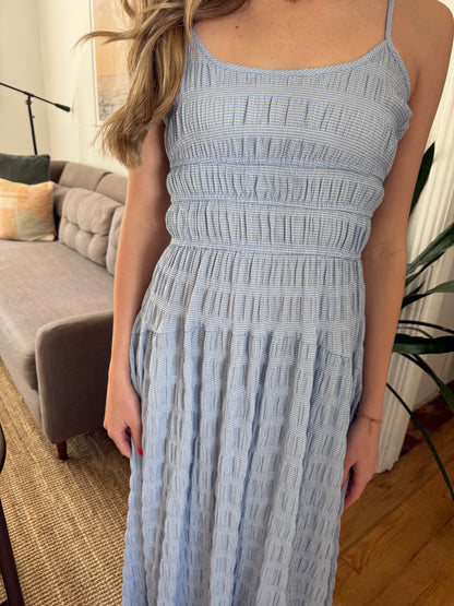 Needii Talia Blue Gingham Cinched Maxi Dress