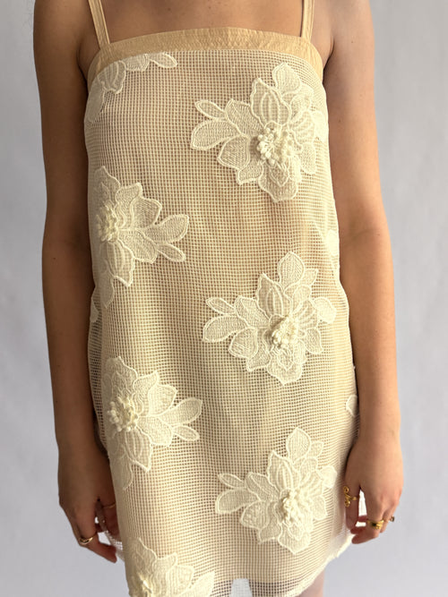 Laura Beige Floral Mesh Texture Sleeveless Mini Dress