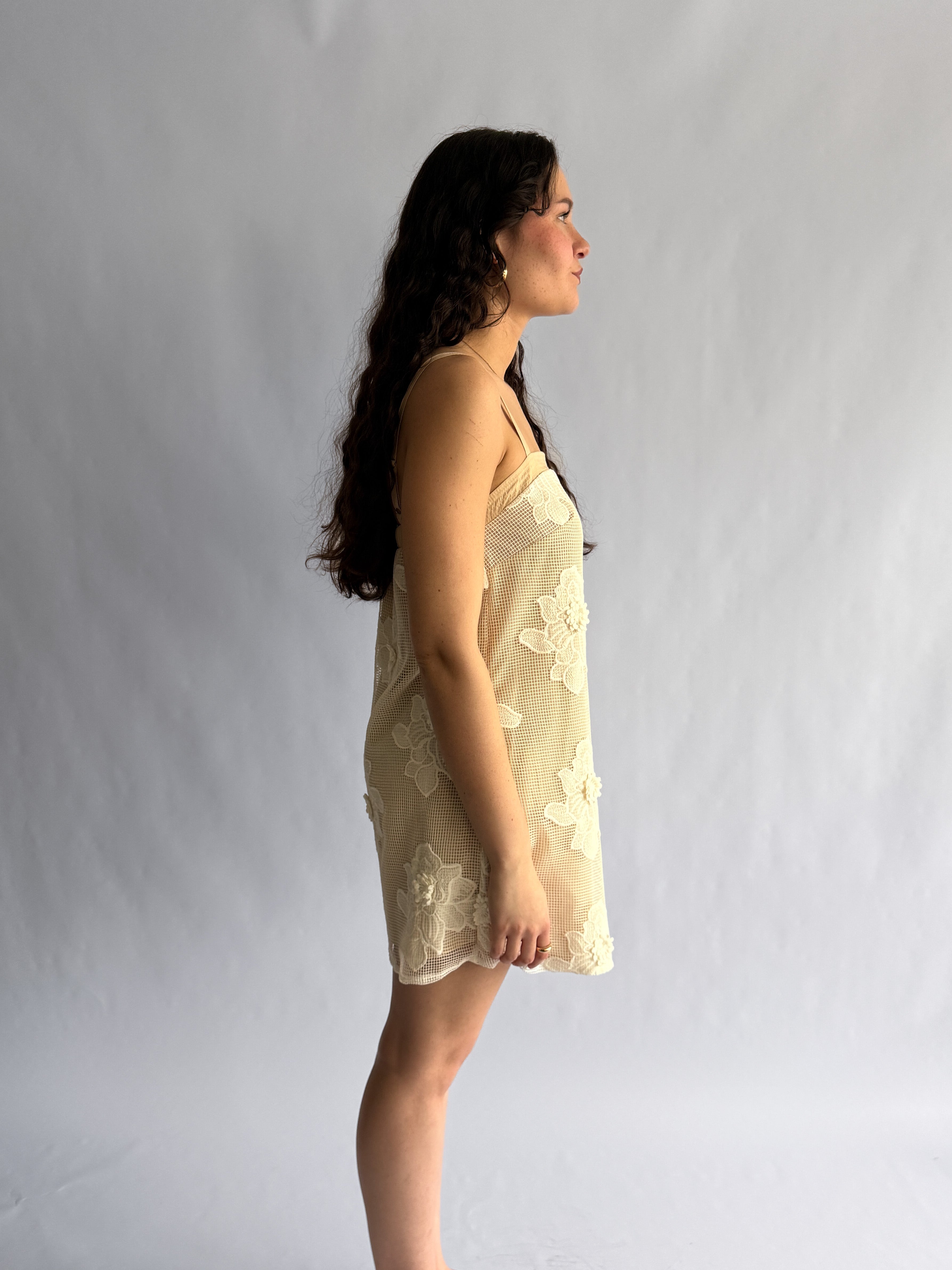 Laura Beige Floral Mesh Texture Sleeveless Mini Dress