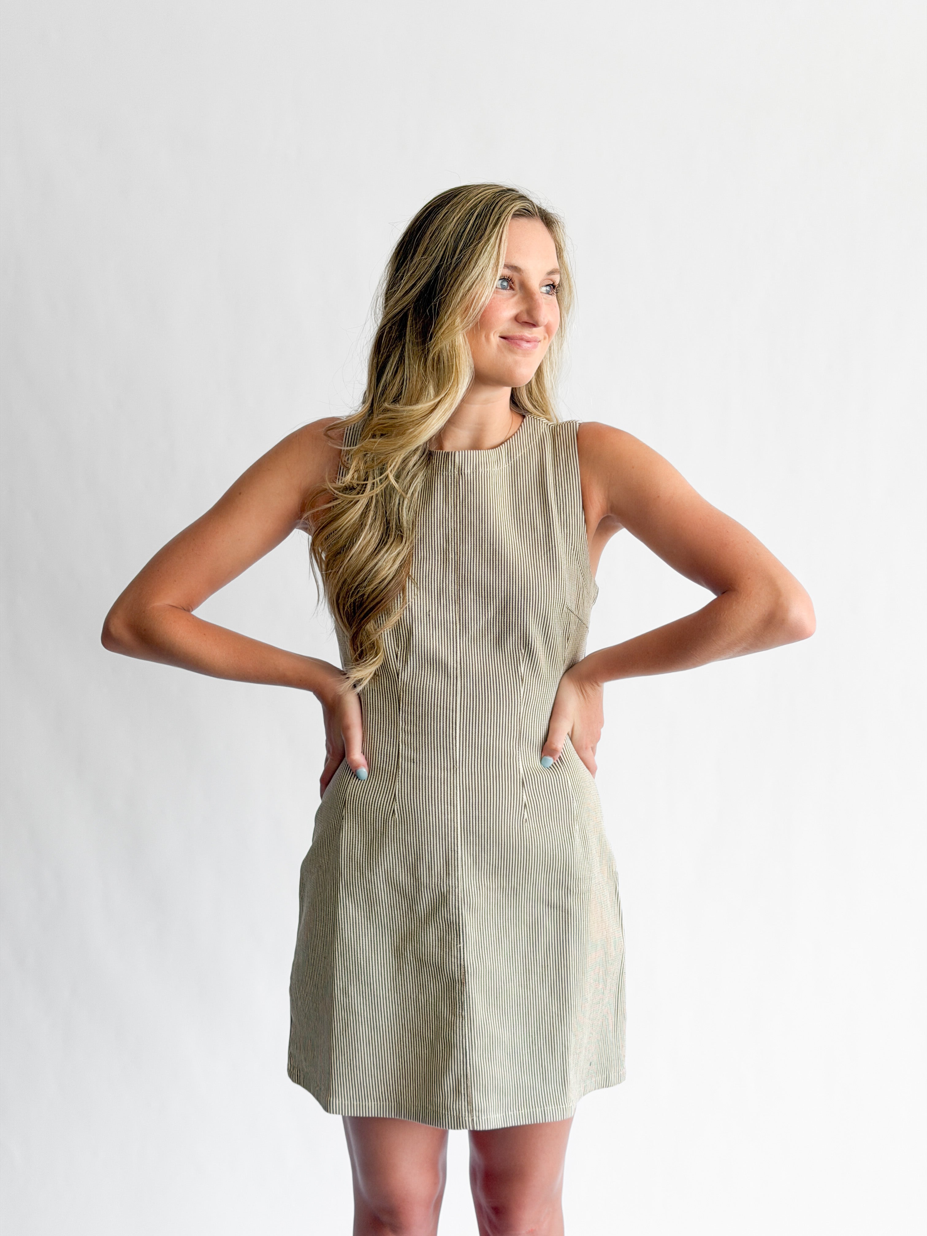 Valerie Brown Stripe Cotton Pintuck Sleeveless Mini Dress