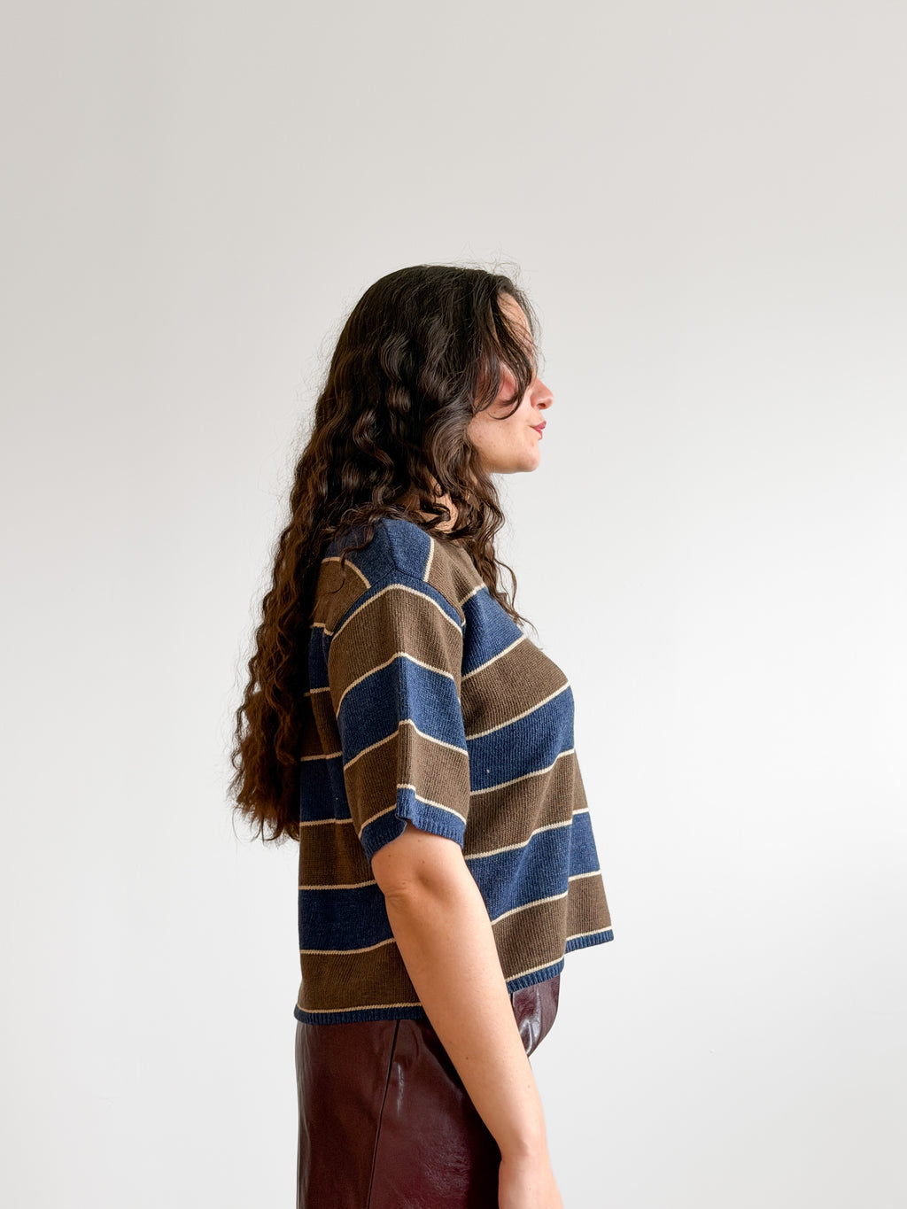 Hunter Brown and Blue Striped Short Sleeve Knit Top