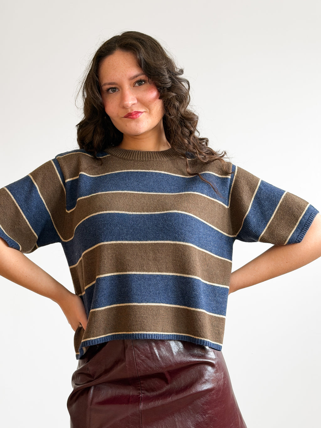 Hunter Brown and Blue Striped Short Sleeve Knit Top