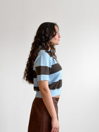 PINCH Harley Color Blue and Brown Stripe Buttoned Knit Polo Top