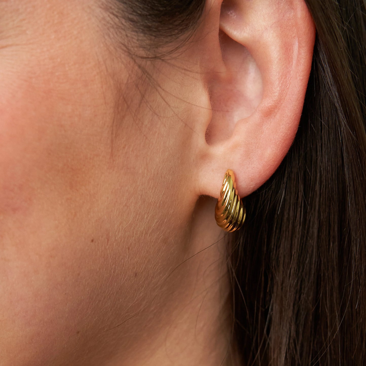 Brenda Grands Small Shell Earrings
