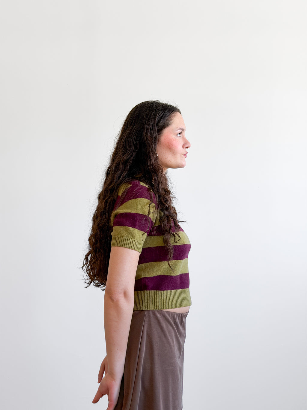 Lucy Paris Robbie Green and Plum Striped Short Sleeve Wool Top