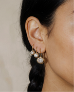 Mod + Jo Lucia Oval Gold French Hook Earrings