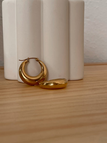 Petit Moments Crawford Chunky Tapered Medium Hoop Earrings