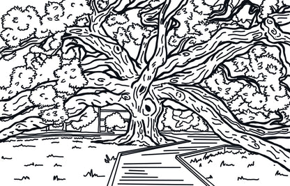 Welcome to Jacksonville: A Bold City Coloring Book + Colored Pencil Set